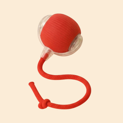 🥳2026 HOT SALE🐶 Active Rolling Ball with Tail – Keep Dogs Busy, Happy & Exercised for Hours! 🎾✨