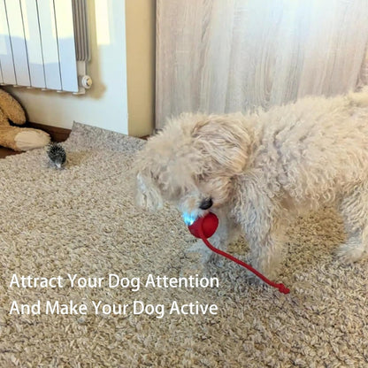 🥳2026 HOT SALE🐶 Active Rolling Ball with Tail – Keep Dogs Busy, Happy & Exercised for Hours! 🎾✨