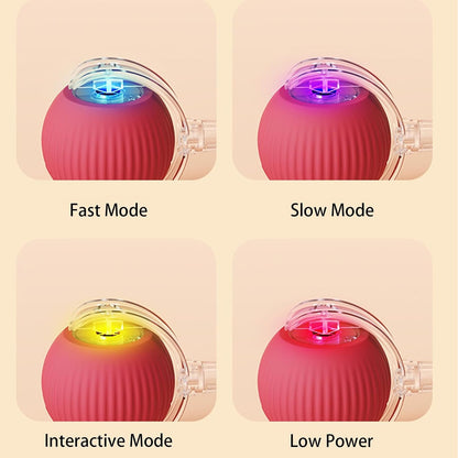 🥳2026 HOT SALE🐶 Active Rolling Ball with Tail – Keep Dogs Busy, Happy & Exercised for Hours! 🎾✨