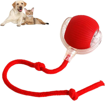 🥳2026 HOT SALE🐶 Active Rolling Ball with Tail – Keep Dogs Busy, Happy & Exercised for Hours! 🎾✨