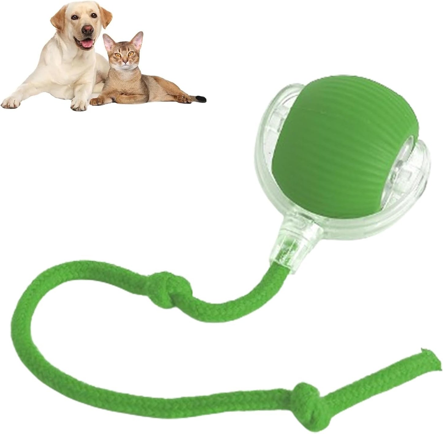 🥳2026 HOT SALE🐶 Active Rolling Ball with Tail – Keep Dogs Busy, Happy & Exercised for Hours! 🎾✨