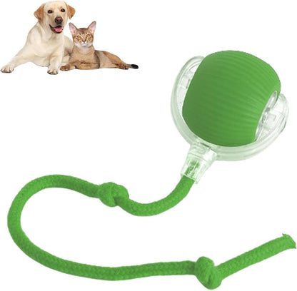 🥳2026 HOT SALE🐶 Active Rolling Ball with Tail – Keep Dogs Busy, Happy & Exercised for Hours! 🎾✨