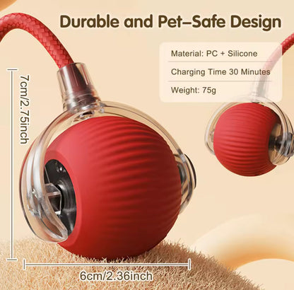 🥳2026 HOT SALE🐶 Active Rolling Ball with Tail – Keep Dogs Busy, Happy & Exercised for Hours! 🎾✨