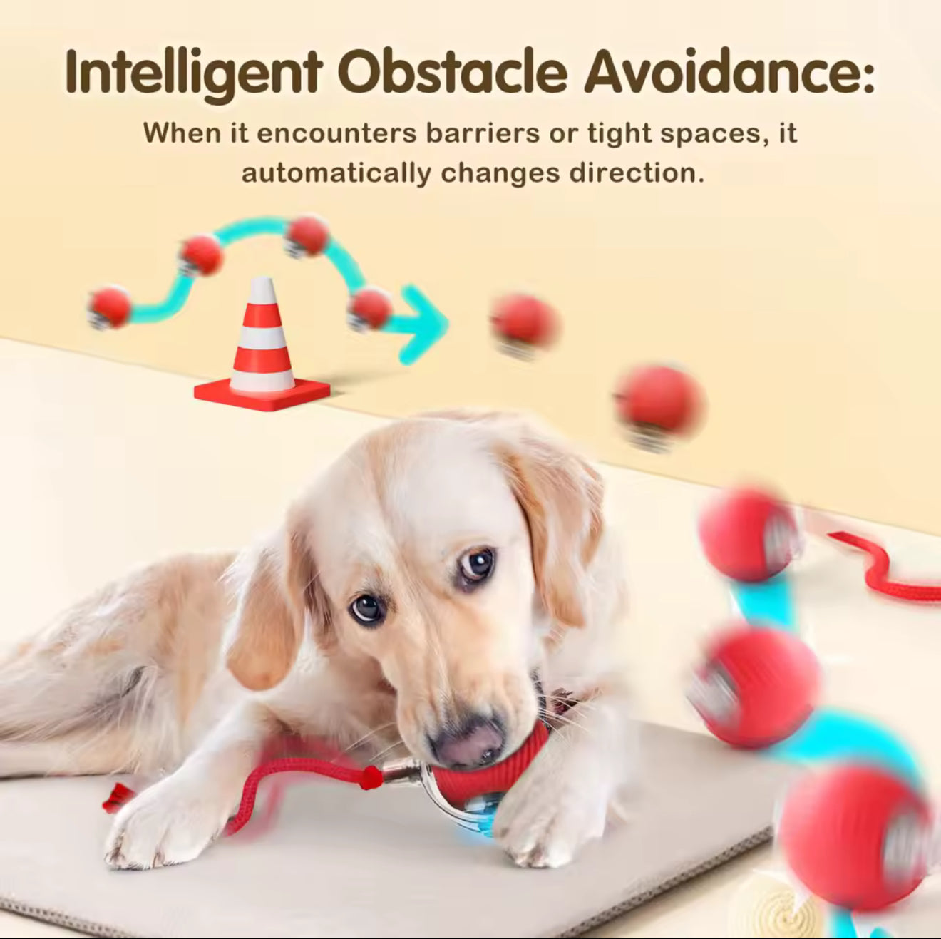 🥳2026 HOT SALE🐶 Active Rolling Ball with Tail – Keep Dogs Busy, Happy & Exercised for Hours! 🎾✨