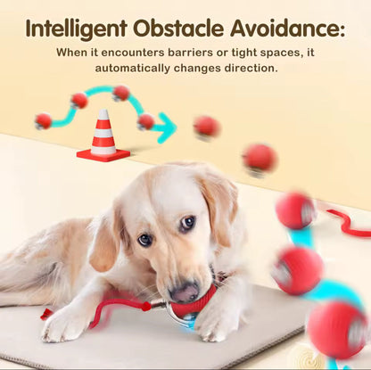 🥳2026 HOT SALE🐶 Active Rolling Ball with Tail – Keep Dogs Busy, Happy & Exercised for Hours! 🎾✨