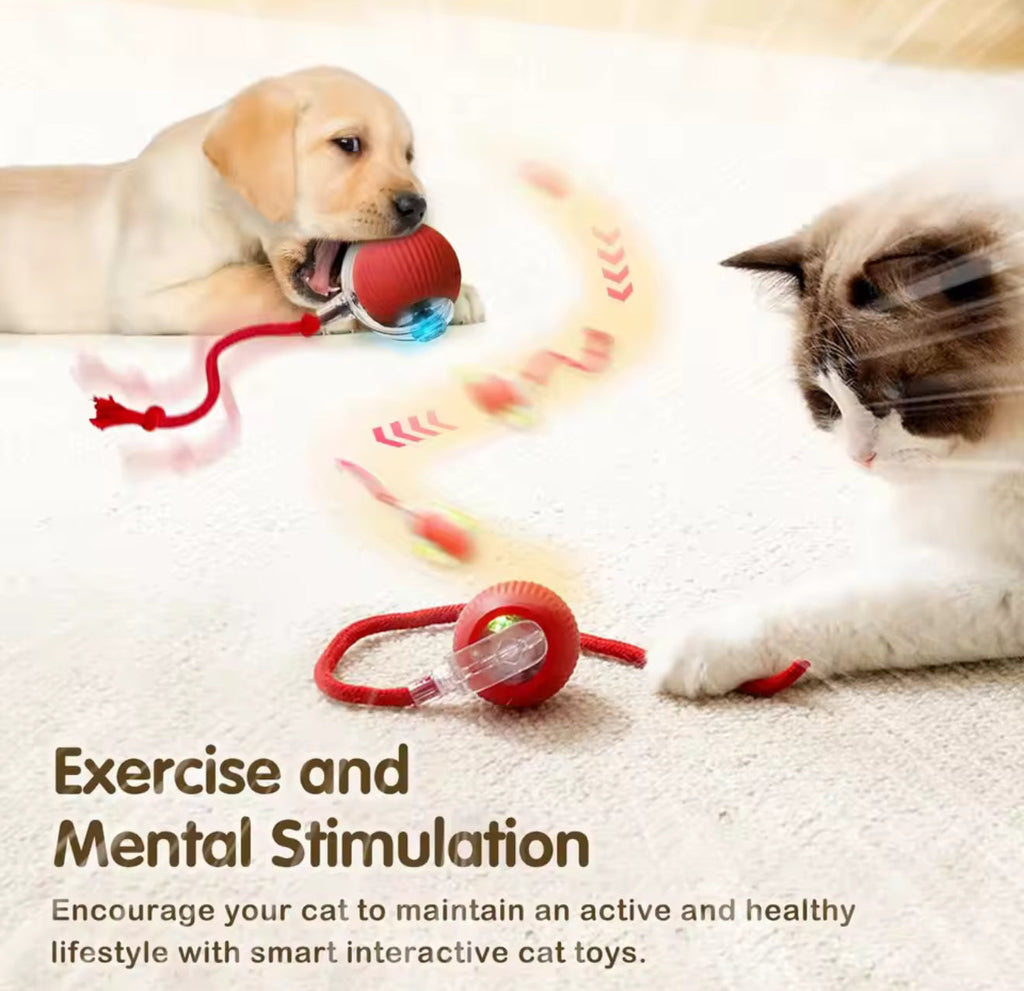 Smart Interactive Pet Toy Ball🪀