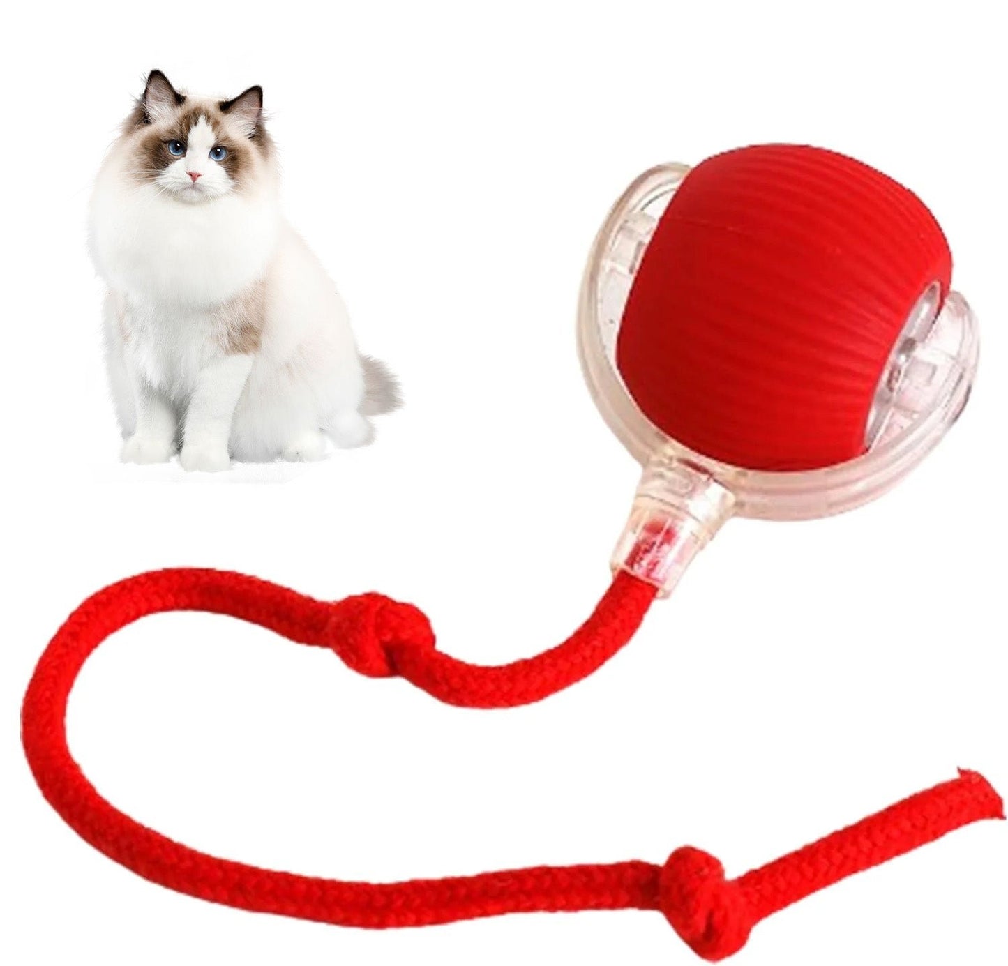 🥳2026 HOT SALE🐶 Active Rolling Ball with Tail – Keep Dogs Busy, Happy & Exercised for Hours! 🎾✨