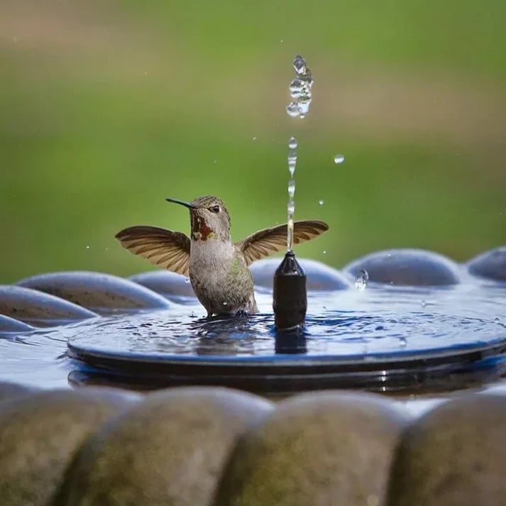 🐦️Compact Solar Bird Fountain Pump – Keep Your Garden Alive!