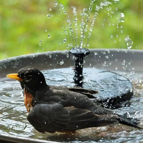 🐦️Compact Solar Bird Fountain Pump – Keep Your Garden Alive!
